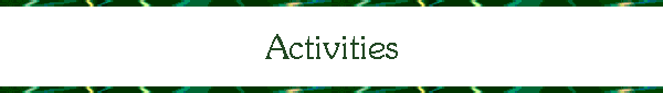 Activities